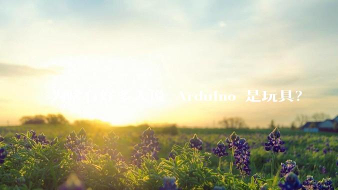 为啥有好多人说 Arduino 是玩具？