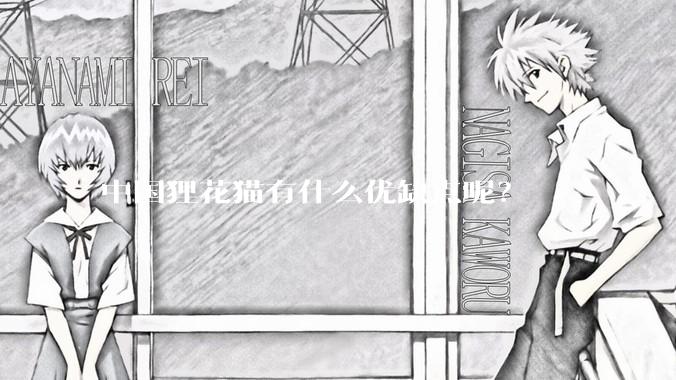 中国狸花猫有什么优缺点呢？