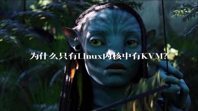 为什么只有Linux内核中有KVM？