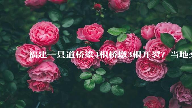 福建一县道桥梁4根桥墩3根开裂？当地交通局回应_福鼎_网友_养护