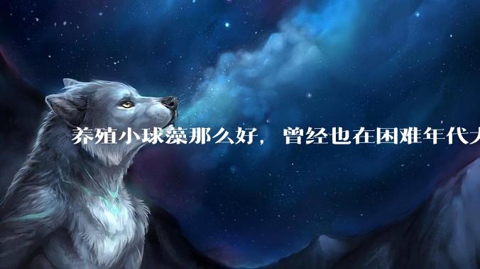 养殖小球藻那么好，曾经也在困难年代大力推广过，为什么没有继续下去？