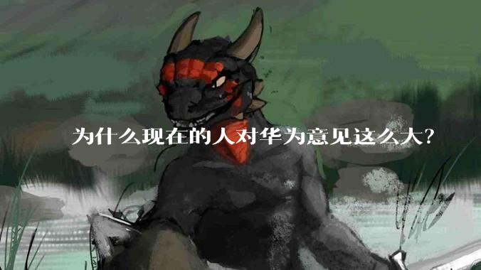 为什么现在的人对华为意见这么大？