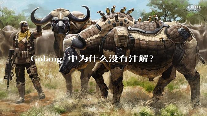 Golang 中为什么没有注解？