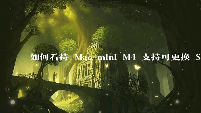 如何看待 Mac mini M4 支持可更换 SSD？